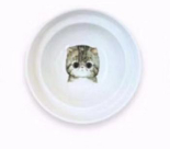 Ergonomische Voerbakhouder voor Katten