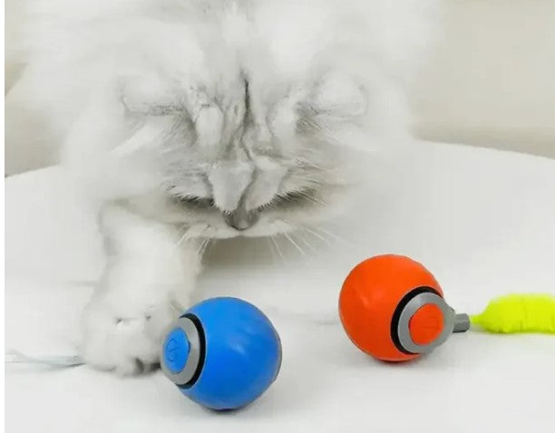 Speedy Tail Interactieve Speelbal – Automatisch & Onvoorspelbaar Speelgoed voor Huisdieren